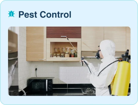 Pest Control