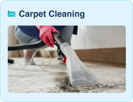 Carpet Cleaning