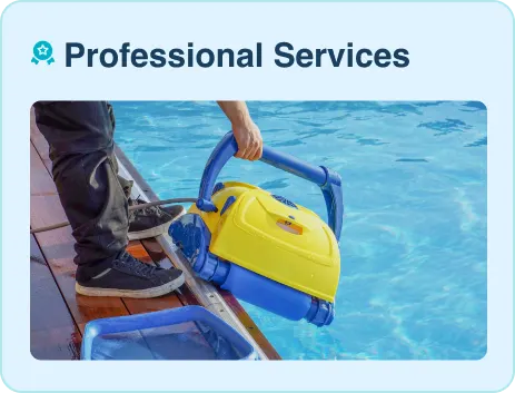 Professional Services