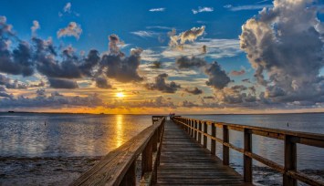 Palm Harbor florida digital Marketing Agency