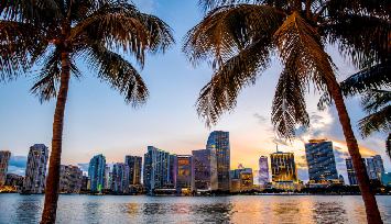 Miami florida digital Marketing Agency